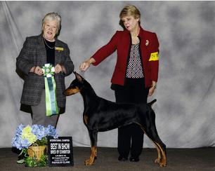 Lexi Best in Show 2011