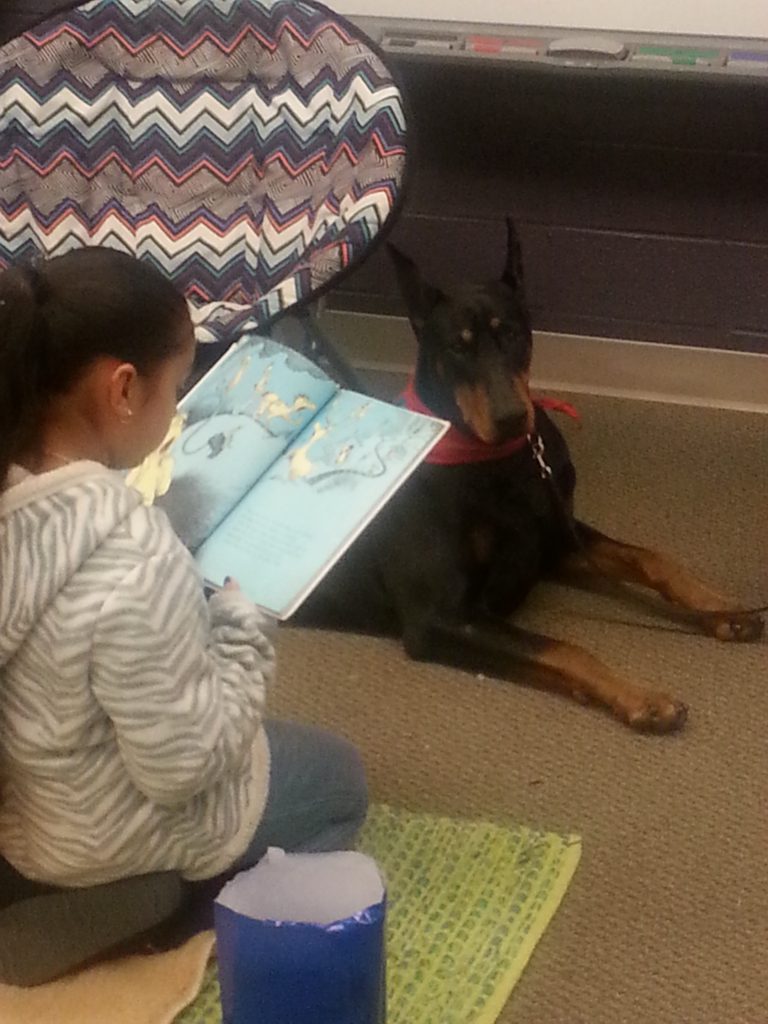 Therapy Dog Reading Time